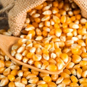 Maize (Makka)